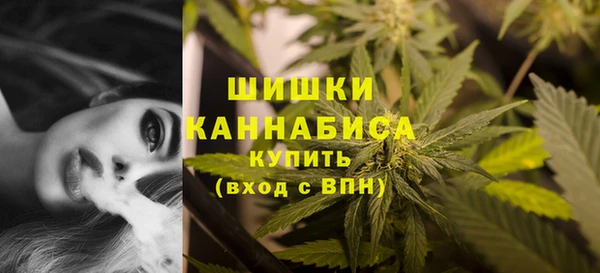 ПСИЛОЦИБИНОВЫЕ ГРИБЫ Горнозаводск