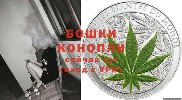 ПСИЛОЦИБИНОВЫЕ ГРИБЫ Горнозаводск