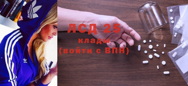 ПСИЛОЦИБИНОВЫЕ ГРИБЫ Горнозаводск
